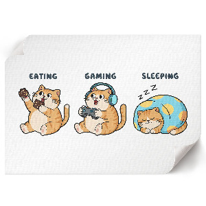 Plakat na ścianę Kocie życie