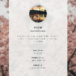 Plakat Orientalna harmonia