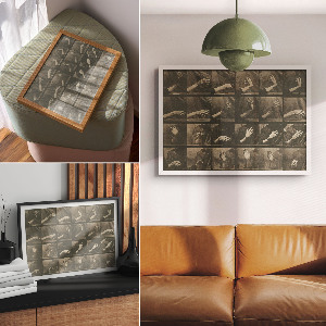 Plakat na płótnie Lokomocja zwierząt