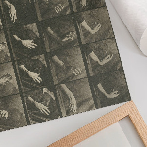 Plakat na płótnie Lokomocja zwierząt