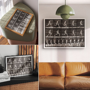 Plakat ścienny Lokomocja zwierząt