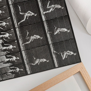 Plakat ścienny Lokomocja zwierząt