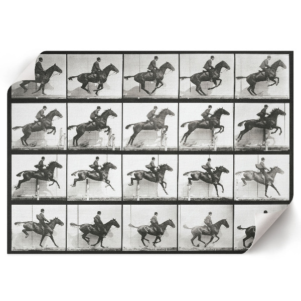 Plakat dekoracyjny Jazda konna