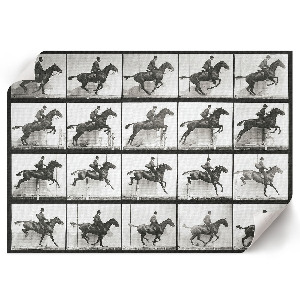 Plakat dekoracyjny Jazda konna