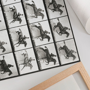 Plakat dekoracyjny Jazda konna