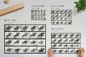 Plakat dekoracyjny Jazda konna