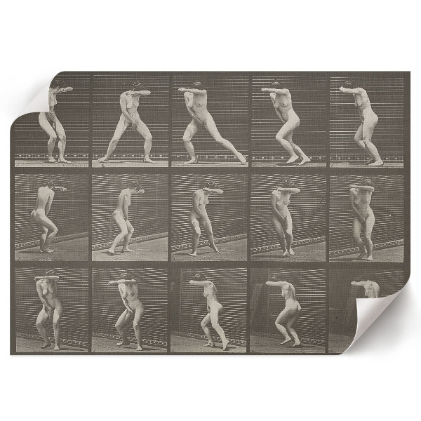 Plakat Odwrócenie i ucieczka