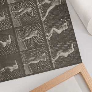 Plakat Odwrócenie i ucieczka