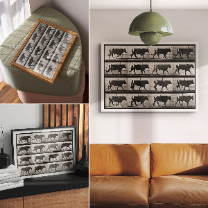 Plakat na płótnie Byk w marszu