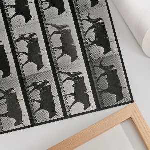 Plakat na płótnie Byk w marszu