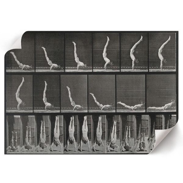 Plakat na ścianę Mężczyzna na rękach