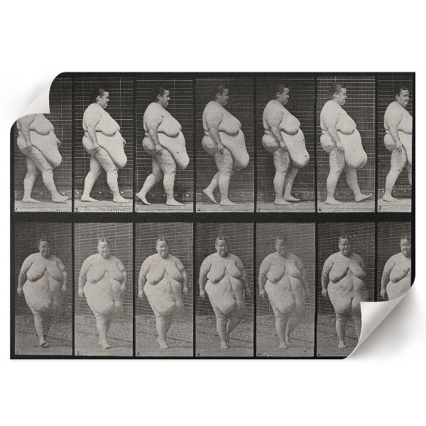 Plakat ścienny Otyła kobieta