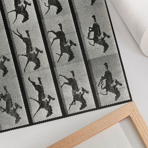 Plakat dekoracyjny Galopujący koń