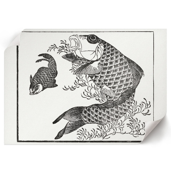 Plakat na płótnie Karp