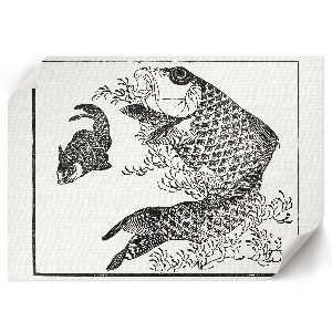 Plakat na płótnie Karp