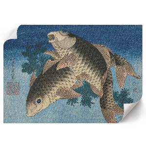 Plakat na ścianę Karp w wodorostach