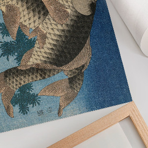 Plakat na ścianę Karp w wodorostach