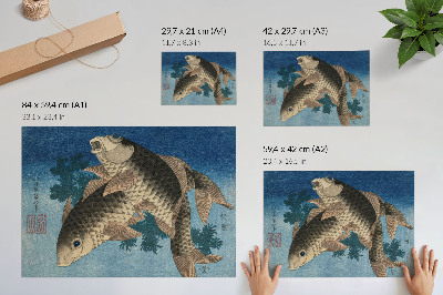 Plakat przedstawiający karpia wśród wodorostów