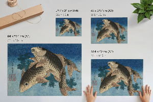 Plakat na ścianę Karp w wodorostach