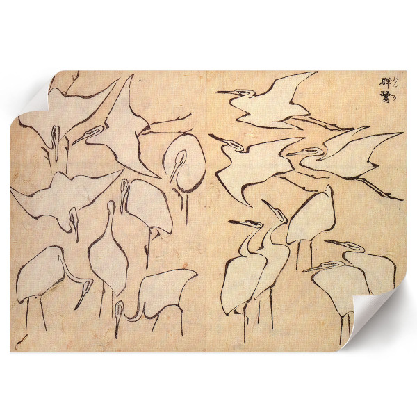 Plakat ścienny Czaple