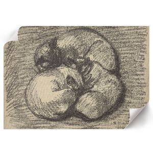 Plakat dekoracyjny Koty