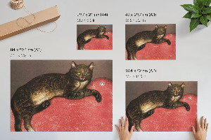 Plakat na płótnie Kot na poduszce