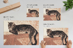 Plakat ścienny Kotka na balustradzie