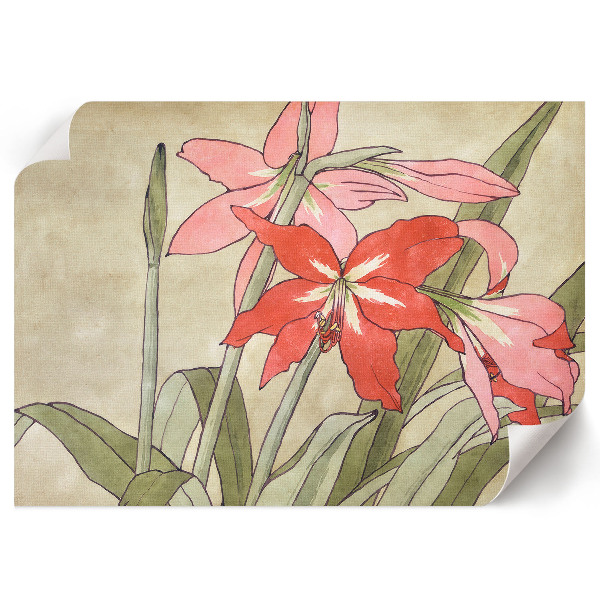 Plakat dekoracyjny Amarylis
