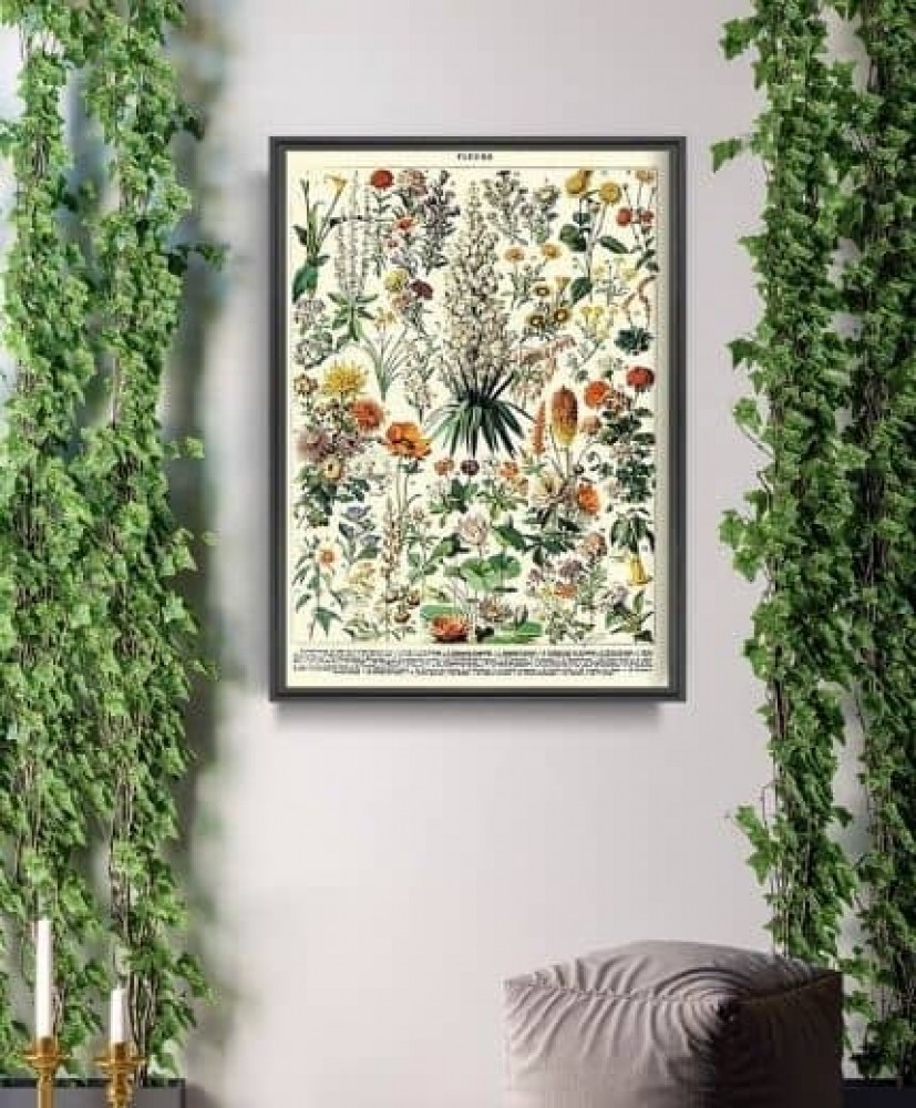 plakaty botaniczne vintage