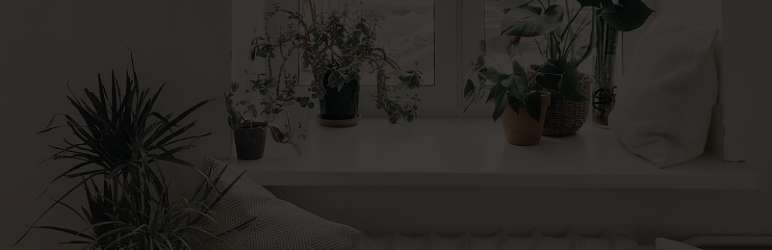 Plakaty botaniczne strona 2